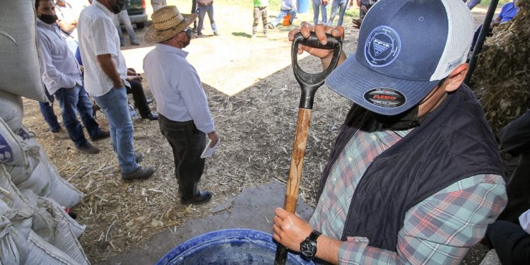 Impresionan en Villamar técnicas del Programa de Agricultura Sustentable