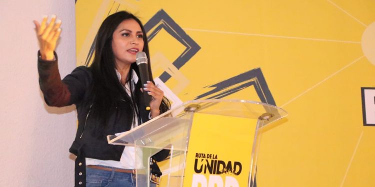 Urge que sea prioritaria, para el Estado Mexicano, la atención a mujeres: Araceli Saucedo