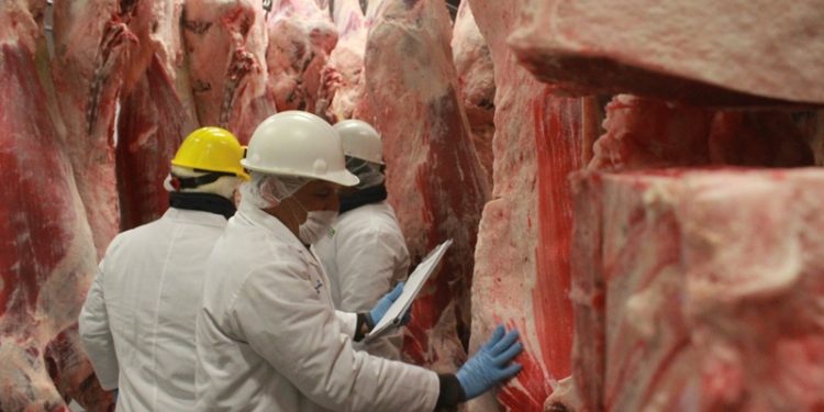 Produce Michoacán 191 mil toneladas de carne