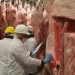 Produce Michoacán 191 mil toneladas de carne