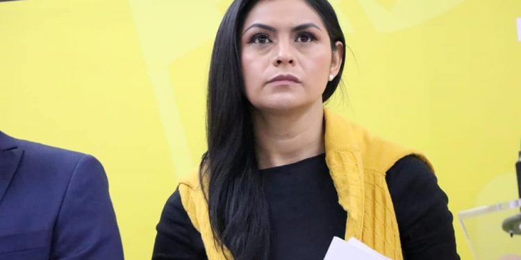 Combate de violencia de género debe ser prioridad para la Federación: Araceli Saucedo