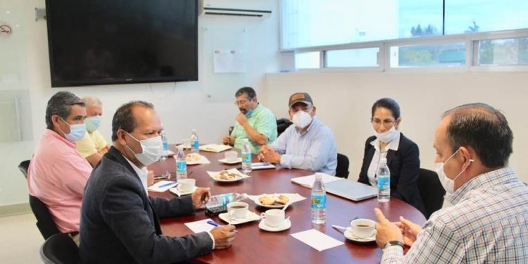 Pugna Michoacán por dar orden a comercialización del maíz