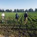 En Yurécuaro, se corroboran las bondades del Programa de Agricultura Sustentable