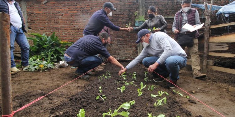 En Nurio, Agricultura Sustentable incentiva huertos de traspatio