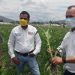 Gobierno de Michoacán desazolva 10 km del Río Angulo en Panindícuaro