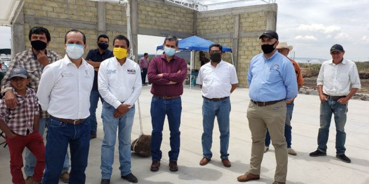 Con Agricultura Sustentable se incentivan 600 hectáreas de berrries en Panindícuaro