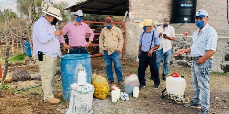 Productores de Penjamillo avalan el Programa de Agricultura Sustentable