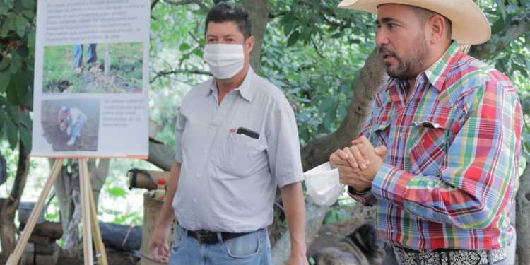 Suman esfuerzos Humberto González, Sedrua y productores por recuperación de la calidad de cultivos en Huandacareo