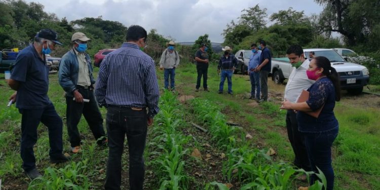 Convence Agricultura Sustentable a productores de zarzamora de Ario de Rosales