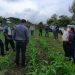 Convence Agricultura Sustentable a productores de zarzamora de Ario de Rosales