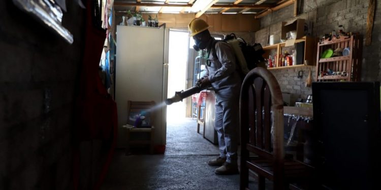 A la baja casos de dengue en Lázaro Cárdenas