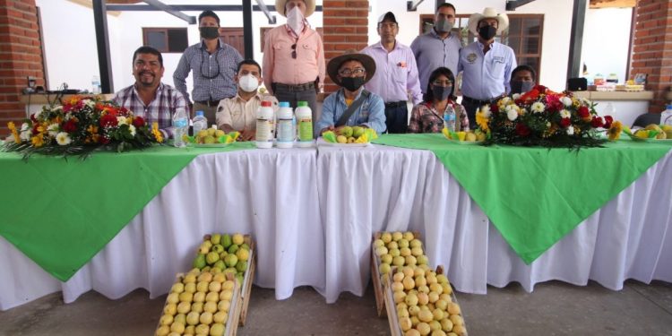 Reciben con entusiasmo el Programa Agricultura Sustentable en Benito Juárez
