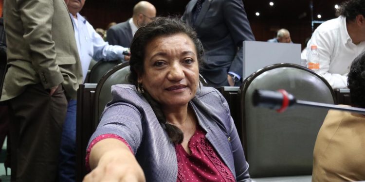Diputada María Chávez presentará iniciativa para reforzar la protección jurídica en prevenir actos de maltrato animal