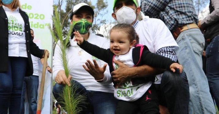 Un “Árbol por la Vida”, presente en 32 municipios de Michoacán