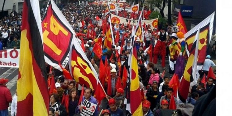 A 2 años del triunfo de la 4T el Partido del Trabajo con más presencia, trabajo y credibilidad: CEIMAP