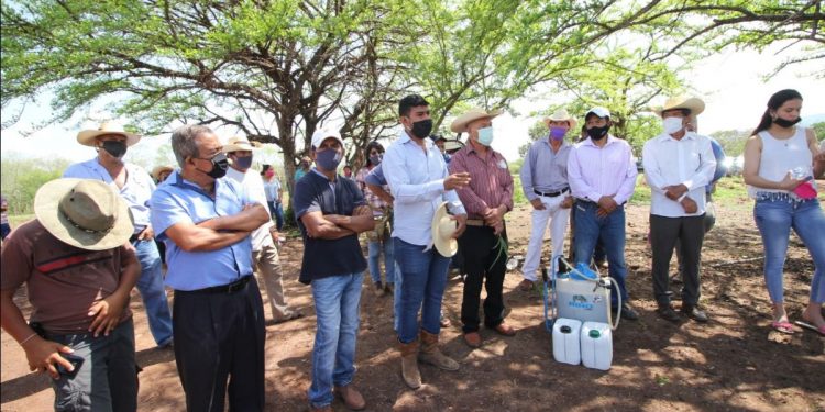 Cultivos de vanguardia, con Agricultura Sustentable, reconocen en Tuzantla