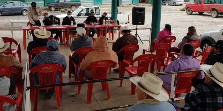 Productores de gladiola, listos para entrar a la Agricultura Sustentable