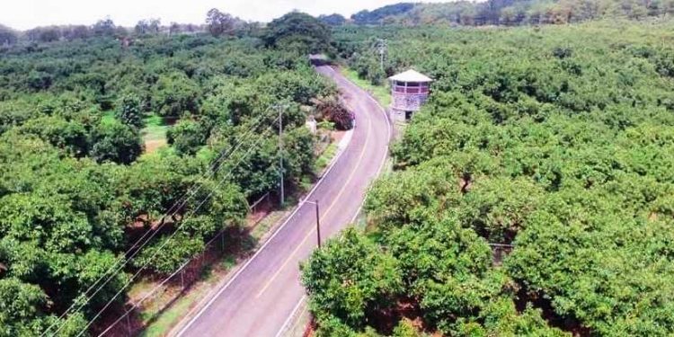 Sectores Productivo y Csmpesino reconocen  y respaldan gestiones y acciones de desarrollo del edil de Apatzingán