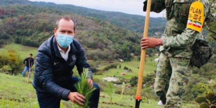 Con la protección de la fruticultura en Michoacán, se rinde homenaje al Día del Árbol