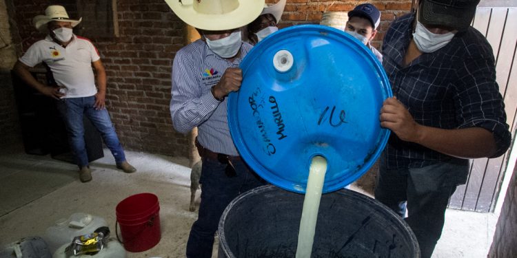 Promueve Gobierno de Michoacán elaboración de insecticidas orgánicos