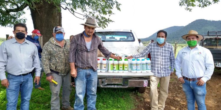 Se suman 12 hectáreas a la Agricultura Sustentable en Salvador Escalante