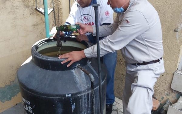 Más de medio millón de acciones contra el dengue ha realizado SSM en este año