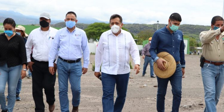 Arranca campaña de reforestación 2020 en Apatzingán