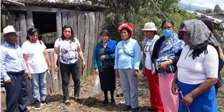 El autoconsumo en localidades de Zitácuaro es promovido por la Diputada María Chávez Pérez