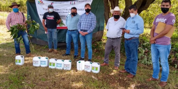 Resultados de Agricultura Sustentable motiva a productores de zarzamora