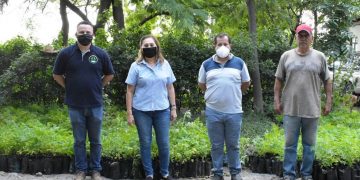 BUSCA CUQUITA CABRERA PLANTAR MÁS DE MEDIO MILLÓN DE ÁRBOLES EN EL ESTADO