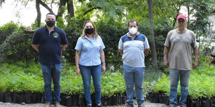 BUSCA CUQUITA CABRERA PLANTAR MÁS DE MEDIO MILLÓN DE ÁRBOLES EN EL ESTADO