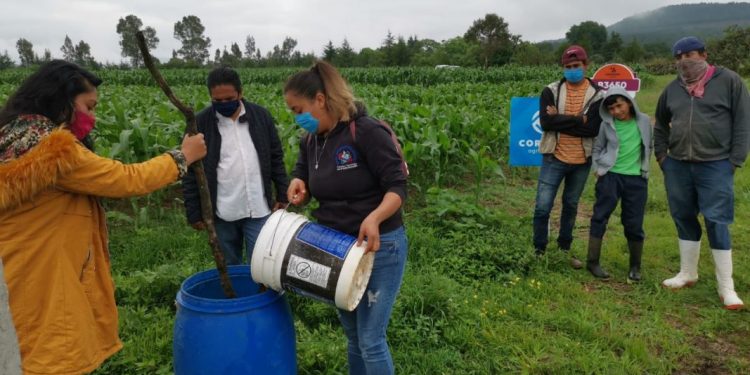 Llegan a Lagunillas y Huiramba las técnicas agroecológicas de Agricultura Sustentable