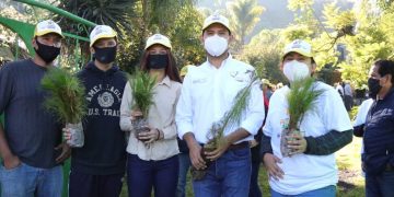 Octavio Ocampo pone en marcha campaña de reforestación en Tuxpan