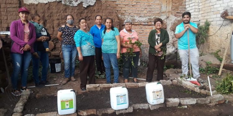 Modelo de huerto de traspatio del Gobierno de Michoacán se multiplican