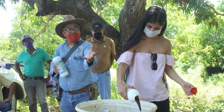 Miss Hispanoamérica, promotora de Agricultura Sustentable en Michoacán