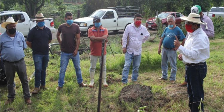 Alcalde de Ziracuaretiro apoya a quienes ingresen a Agricultura Sustentable