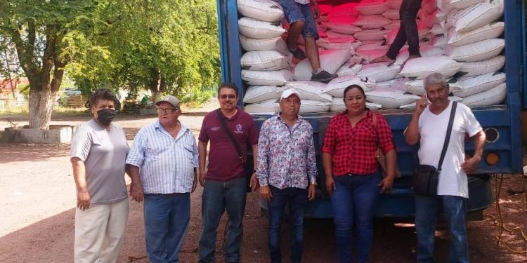 Con fertilizante, gobierno municipal apoya a productores
