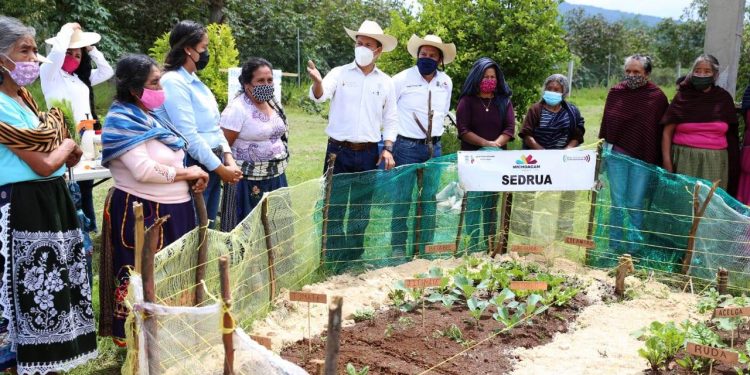 Con pasión, mujeres originarias de Michoacán producen alimentos orgánicos