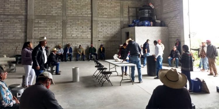 Incorporar rastrojo, una técnica más de Agricultura Sustentable en Michoacán