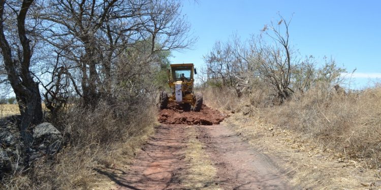 En cinco años, rehabilitados más de 20 mil km de caminos sacacosechas en Michoacán