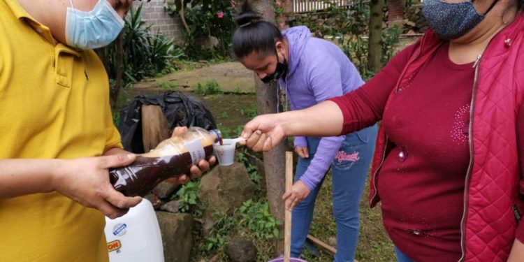 Tingambato se suma a los huertos de Agricultura Sustentable