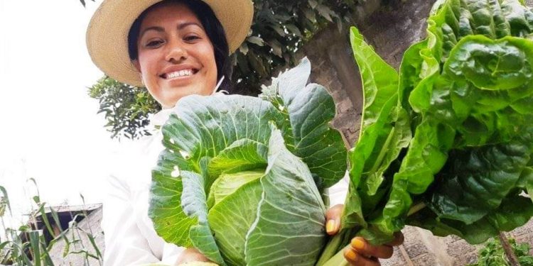 Deliciosas hortalizas cosecha de Agricultura Sustentable en Michoacán