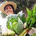 Deliciosas hortalizas cosecha de Agricultura Sustentable en Michoacán