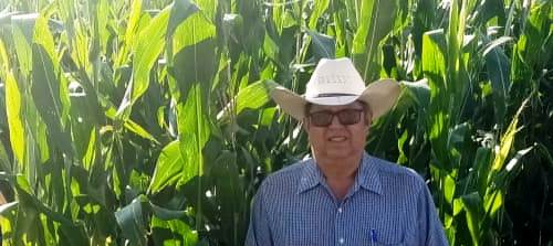 Elotes muy grandes, logra Agricultura Sustentable en Pajacuarán