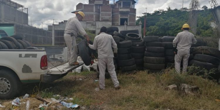 Ni un paso atrás en la lucha contra el dengue