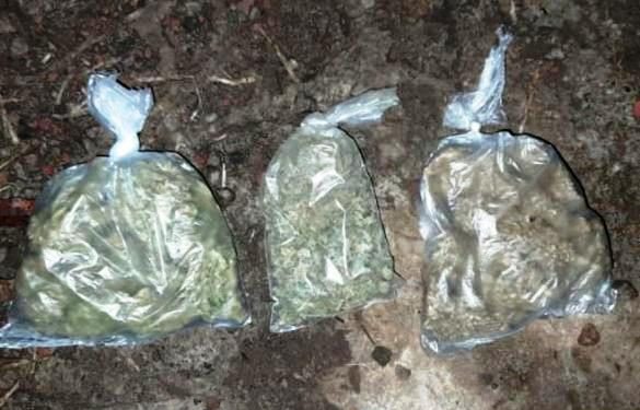 Asegura SSP envoltorios con hierba verde seca al parecer marihuana y un vehículo