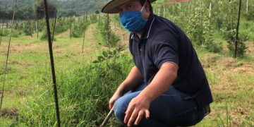 Agricultura Sustentable, semilla para lograr seguridad alimentaria en Michoacán