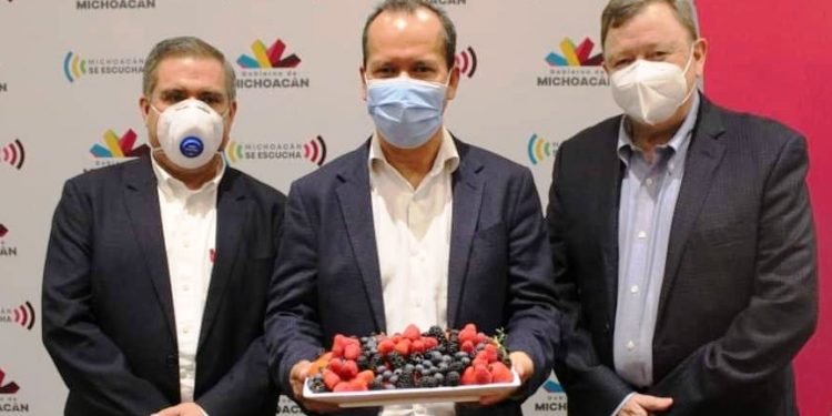 Michoacán protege a productores de berries en acuerdo del T-MEC