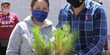 Humberto González en Puruándiro distribuye árboles y convoca a la protección ambiental