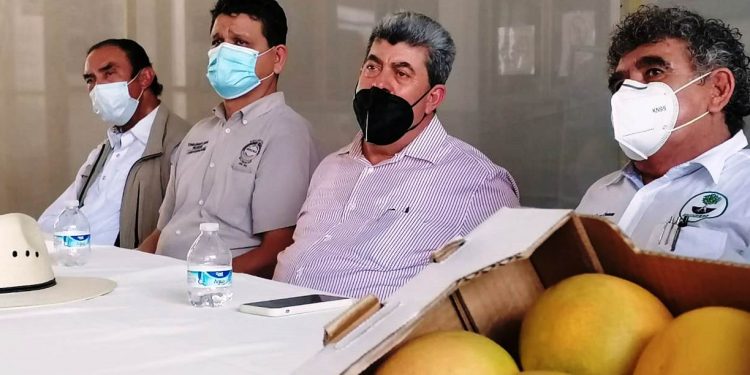 Gobierno nos dejó solos en sanidad: mangueros